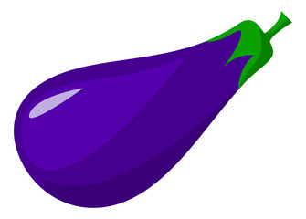 Big ripe eggplant