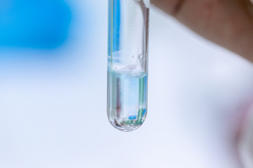 Analysis protein for study Chemical composition in laboratory.