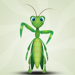 illustration of praying mantis