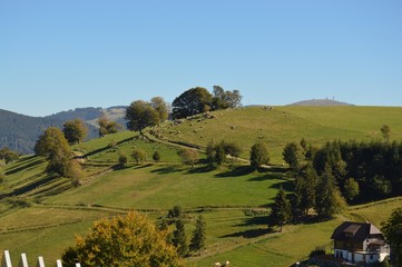 Obraz premium Feldbergblick