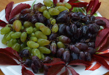 delicious sweet green and black grapes for vitamin and healthy nutrition