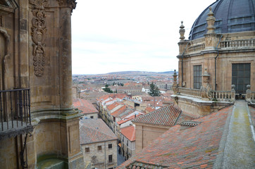 Vista desde la torre de la Catedral de Salamanca