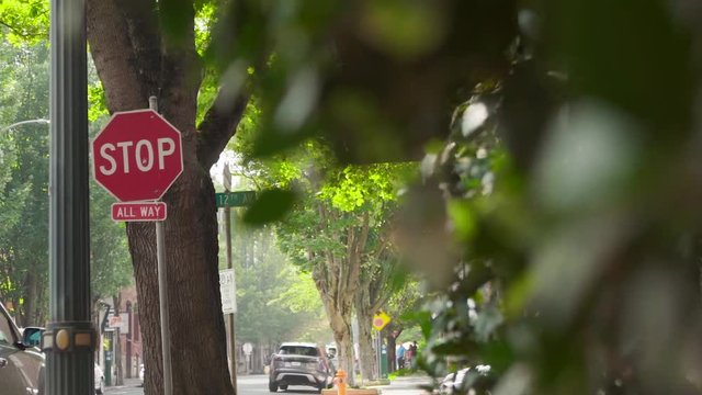Rack focus from stop sign to leaves