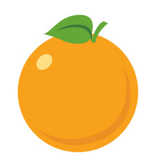 Orange icon vector illustration eps10 isolated on white background