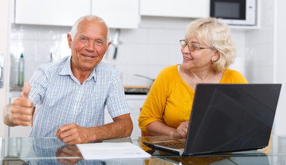 Fototapeta premium Mature man and woman discussing while working at laptop together