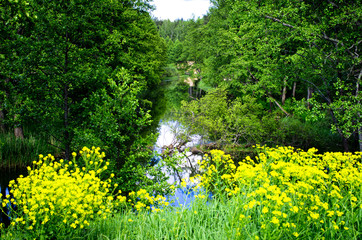 Naklejka premium mouth of the river in Kaluga region