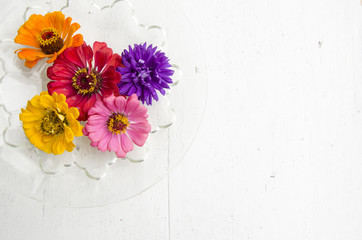Colored asters on a white wooden table. Flat lay, top view.