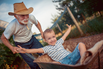 Happy grandfather and his grandson playing with a wheelbarrow in garden