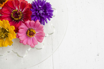 Colored asters on a white wooden table. Flat lay, top view.