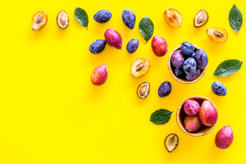 Bright fruitty background. Plum pattern. Red and purple plum and leaves on yellow background top view copy space