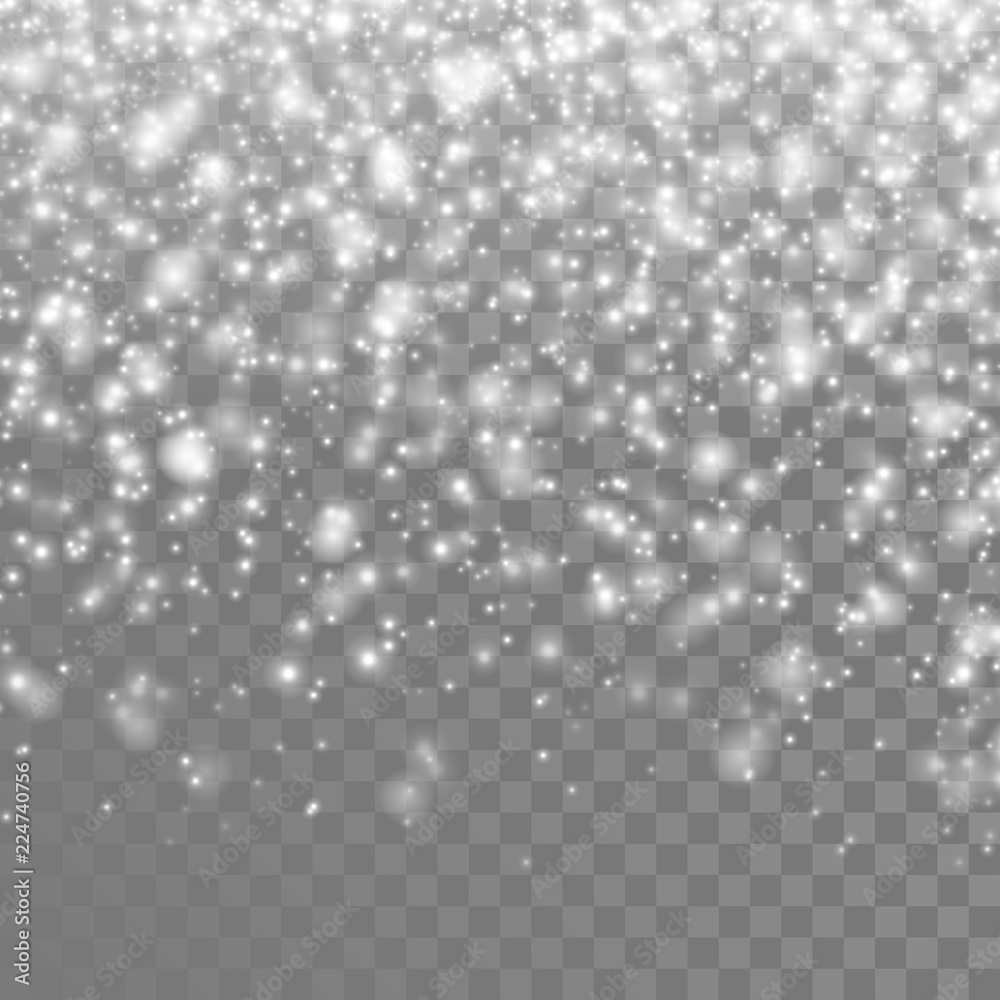 Poster Vector falling snow. Isolated snowflakes on the transparent background