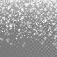 Vector falling snow. Isolated snowflakes on the transparent background