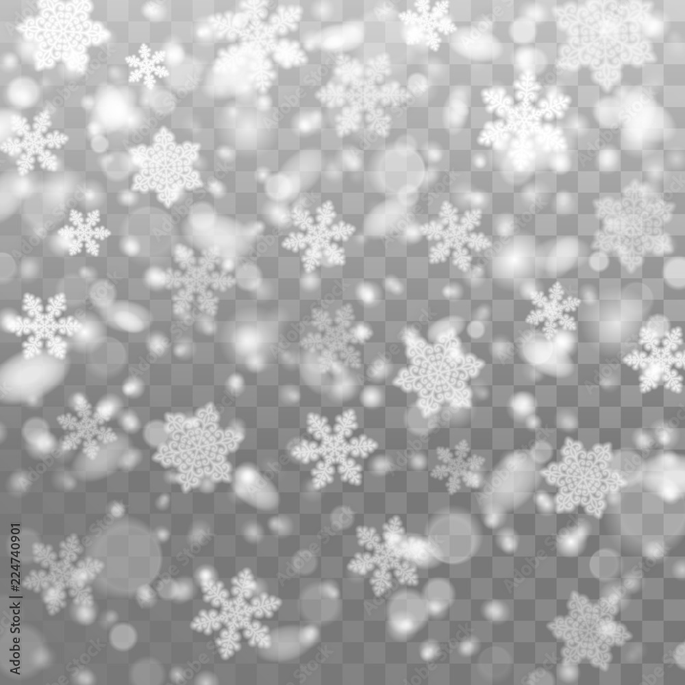 Poster vector falling snow. isolated snowflakes on the transparent background
