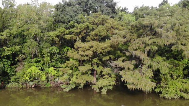 Drone footage of the forest along the San Jacinto River bank near Houston, Texas