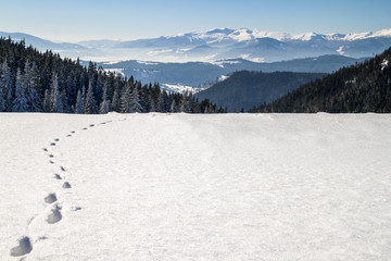 Path with footprints in snow in winter mountains.