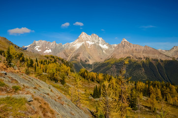 Fototapeta na wymiar Fall Larch Jumbo Pass Purcell Mountains