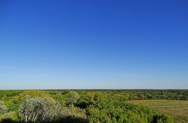 Obraz premium Panorama of autumn forest