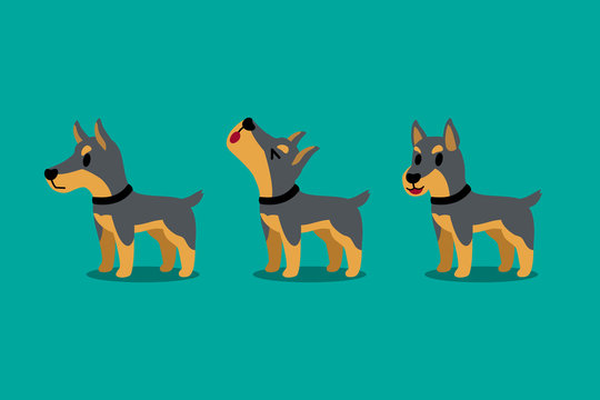 Set of vector cartoon character doberman dog poses for design.