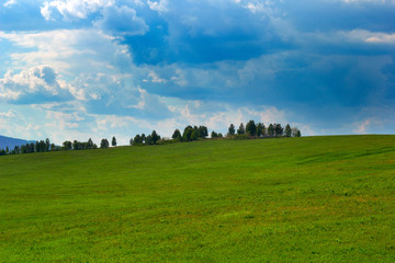 lanscape with trees and green meadow