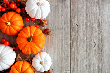 Autumn side border of orange and white pumpkins and berries on a light gray wood background with...