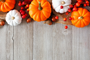 Autumn top border of orange and white pumpkins and berries on a light gray wood background with...