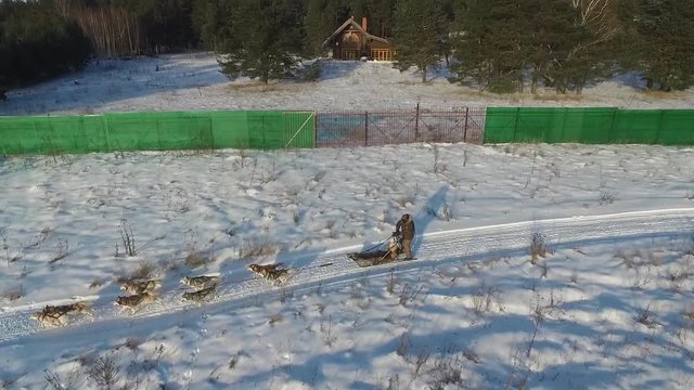 Aerial view on a sledge with a siberian husky dog team.