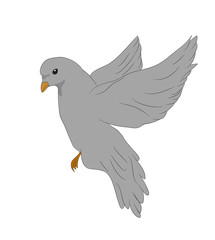 bird sitting on a branch, vector