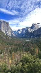 Obraz premium Yosemite View