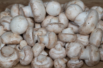 Closeup of freshly picked up with the remains of soil, unwashed mushrooms - champignons,  vegetarian menu.