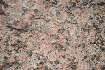 the homogeneous texture of the stone