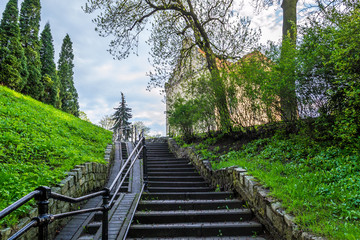 Park w zielonej szacie, położony w mieście Chełmno, Polska © Senatorek