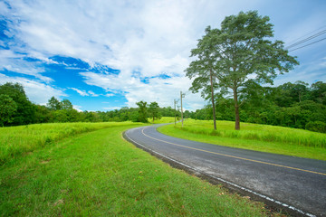 road, Field, Front or Back Yard, Land, Lawn
