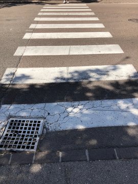 segnaletica stradale freccia stop disabili strisce pedonali bus autobus codice stradale polizia sicurezza