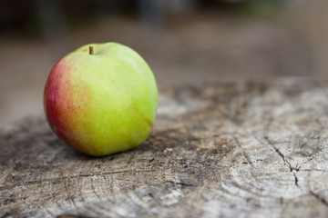 a red-green juicy apple lies on an old gray stump with cracks
