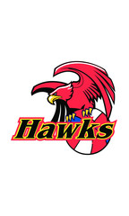 Hawks B-Ball 02