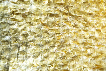 Golden salmon fish skin texture