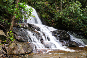 Cascading waterfall in mountains surrounded by forest; scenic landscape background