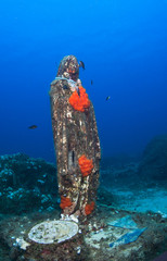 Underwater statue-Madonna. Island Elba, Italy.
