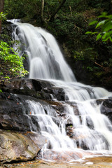 Cascading waterfall in mountains surrounded by forest; scenic outdoor landscape background