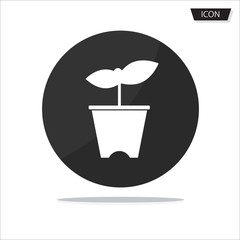 Flower in pot icon vector isolated on white background.