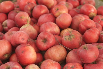 homemade red apples on the table