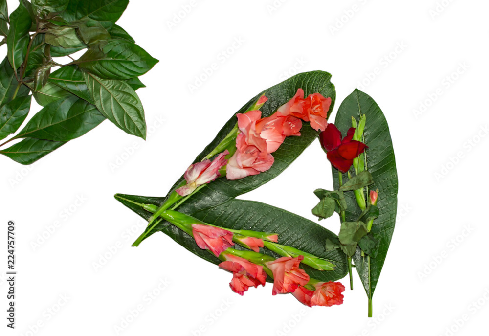 Poster Red and pink flowers on green long leaves