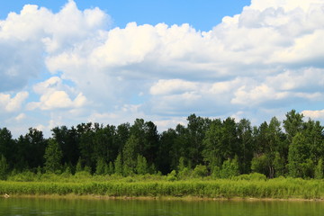 green field and blue sky