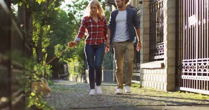 Caucasian Young Couple Walking Corgi Dog On The Leash Along The Beautiful Street. Then Corgi Pulling The Leash And Girl In The Bushes And Man Jumping Cheerfully.