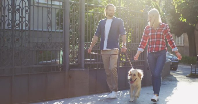 Caucasian young attractive happy couple walking the labrador dog on the leash on the summer day in the city.  Quarantine Concept Coronavirus Pandemic