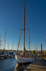 yachts in harbor