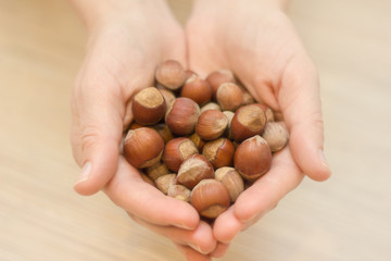 Walnuts hazelnuts in the palm of hand.