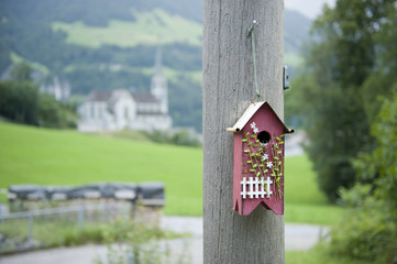 Vogelhaus in der Schweiz