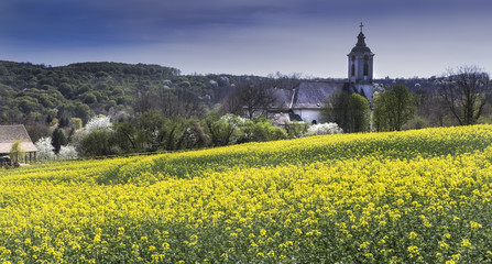Beautful rape filed springtime with a small village and chuech in background in Abaliget, Hungary