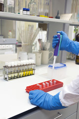 Distribution of the substance by test tubes for analysis. Assistant laboratory doses the substance...